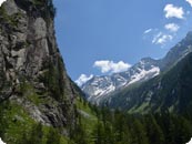 Tag der Artenvielfalt NP Hohe Tauern 2014 KFFÖ c Wilfried Rieder